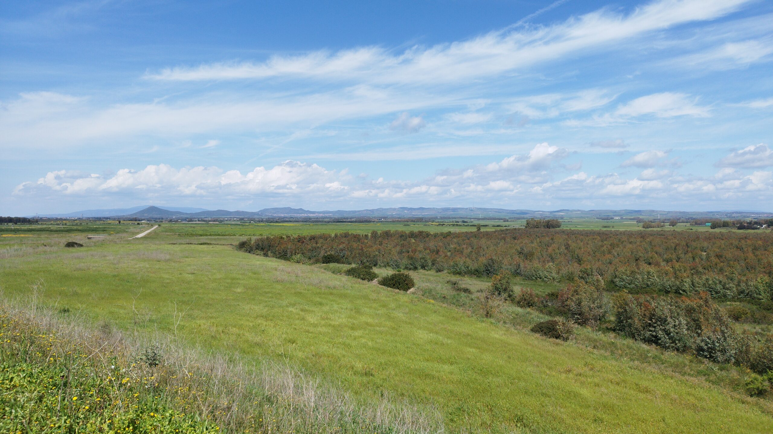IMG-20250409-WA0024