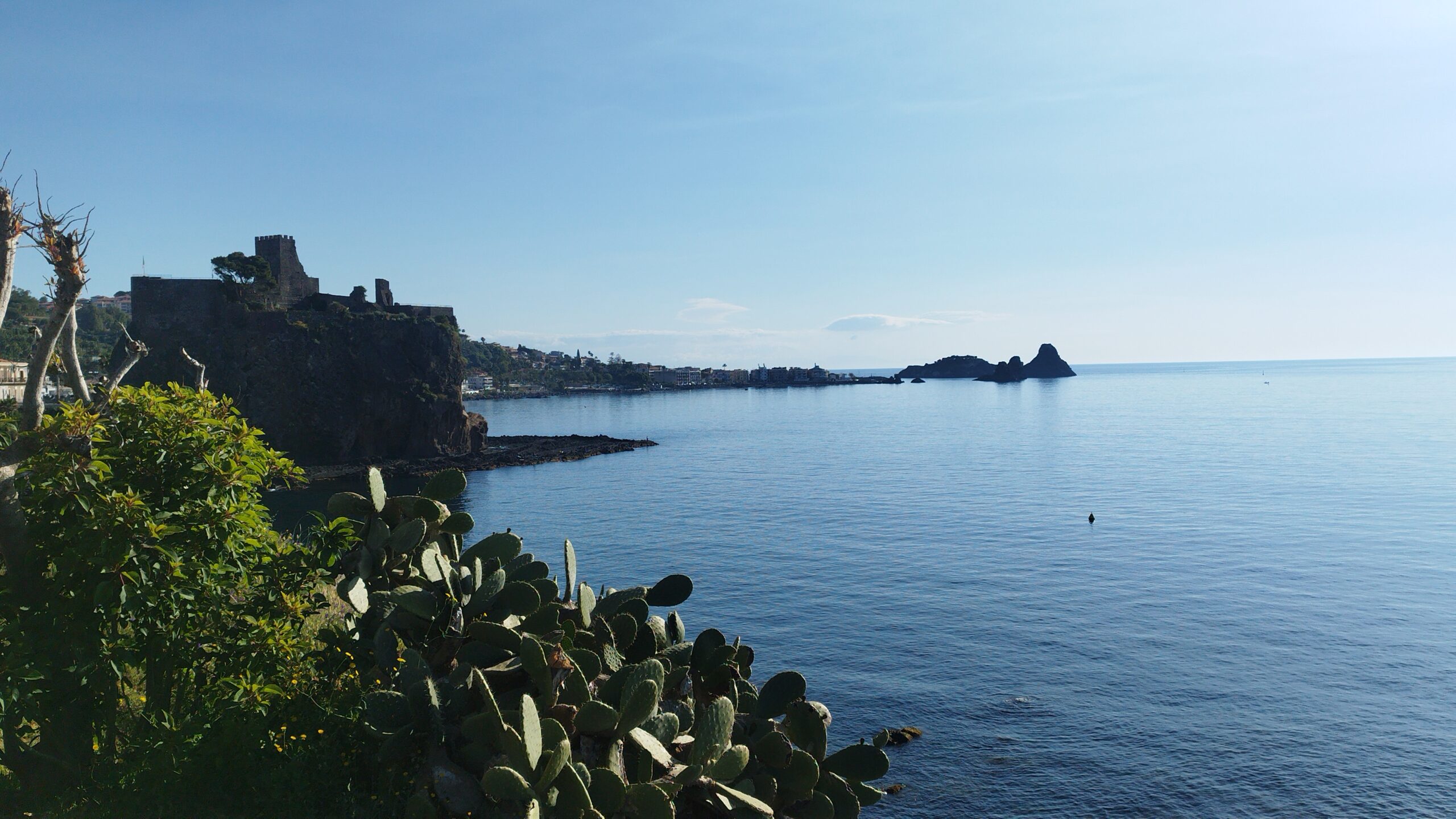 IMG-20250424-WA0004
