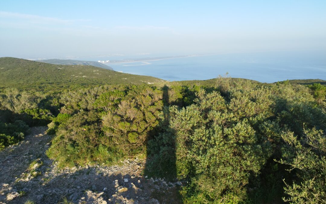 Portugal J7