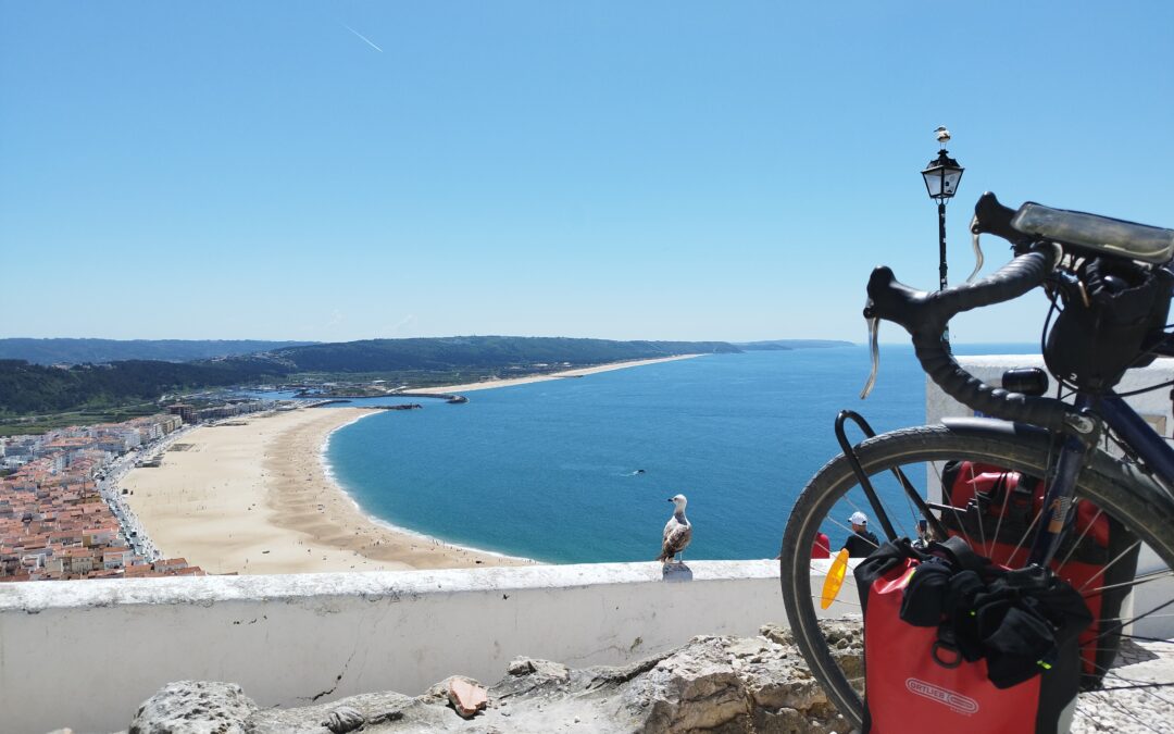 Portugal J11