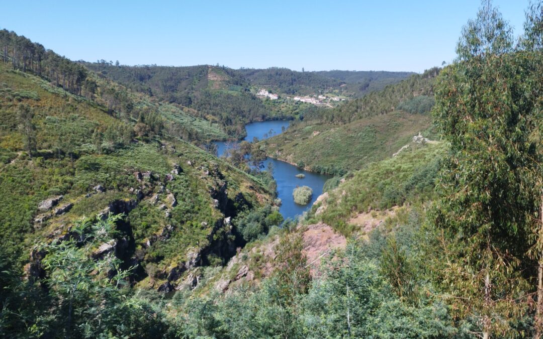 Portugal J13