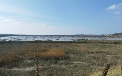 Jour 2: Baie de Somme et première « Luc »