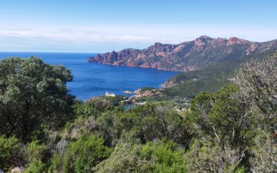 Jour 32: Girolata