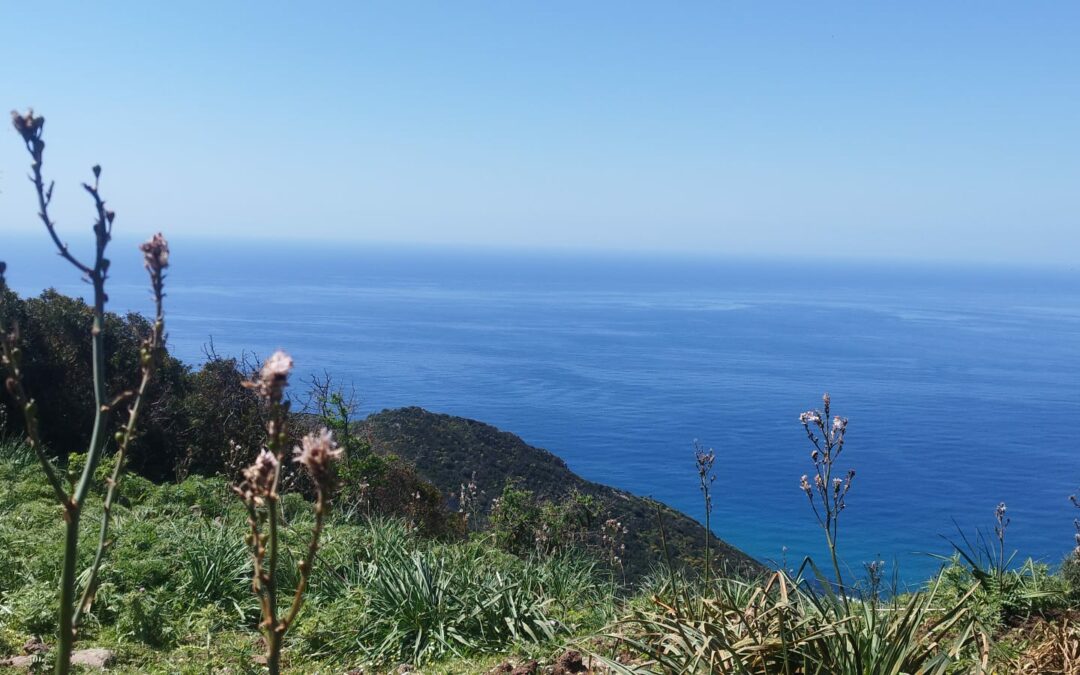 jour 40: des routes de toutes les couleurs