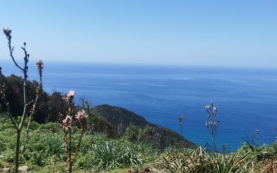 jour 40: des routes de toutes les couleurs