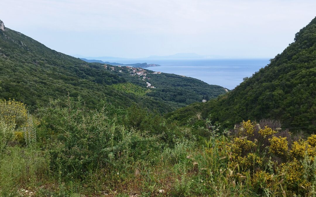 Jour 87: Tourisme en Grèce