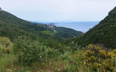 Jour 87: Tourisme en Grèce